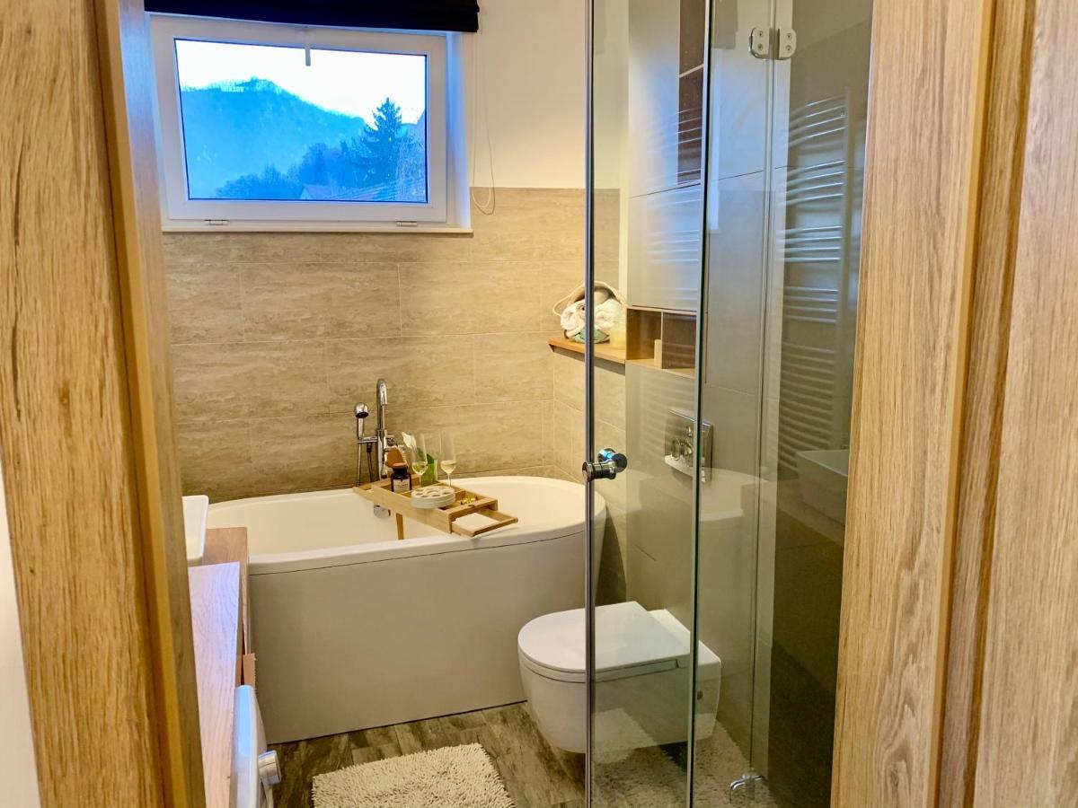 Viktory Apartment Брашов Екстериор снимка