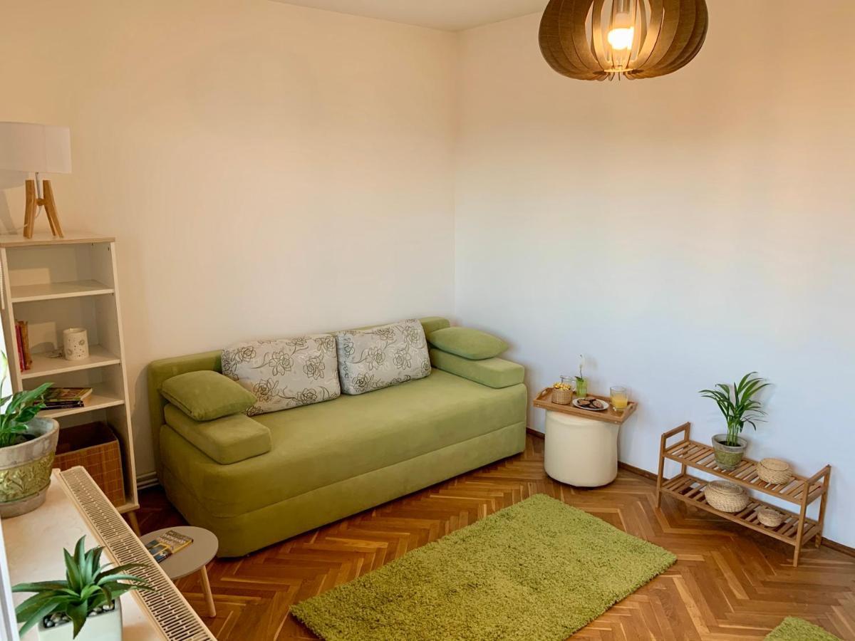 Viktory Apartment Брашов Екстериор снимка