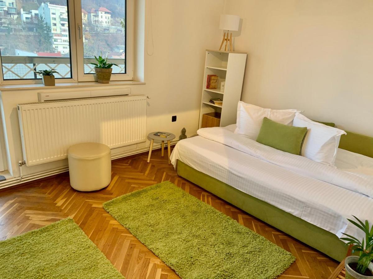 Viktory Apartment Брашов Екстериор снимка