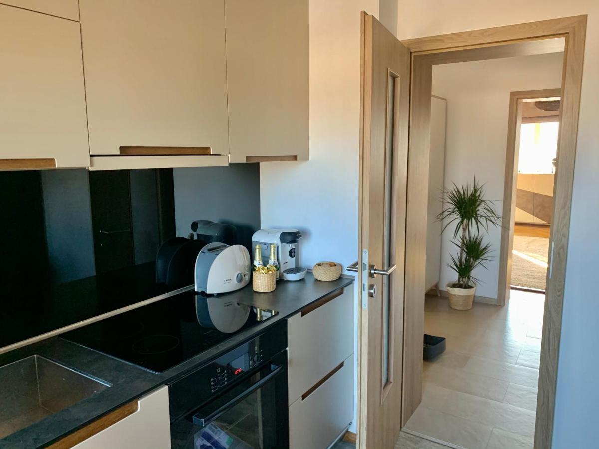 Viktory Apartment Брашов Екстериор снимка